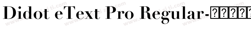 Didot eText Pro Regular字体转换
